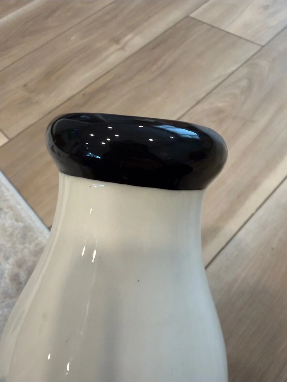 Decorative Vase with Common Loons Artwork Ducks Birds